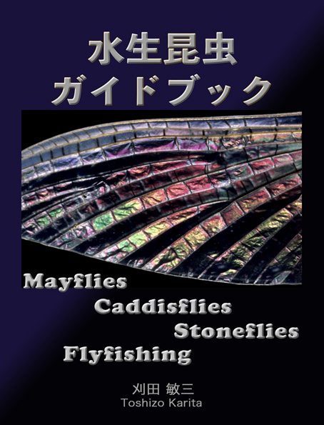 刈田スタディオ カリタ式 KARITA AQUATIC INSECTS LAB