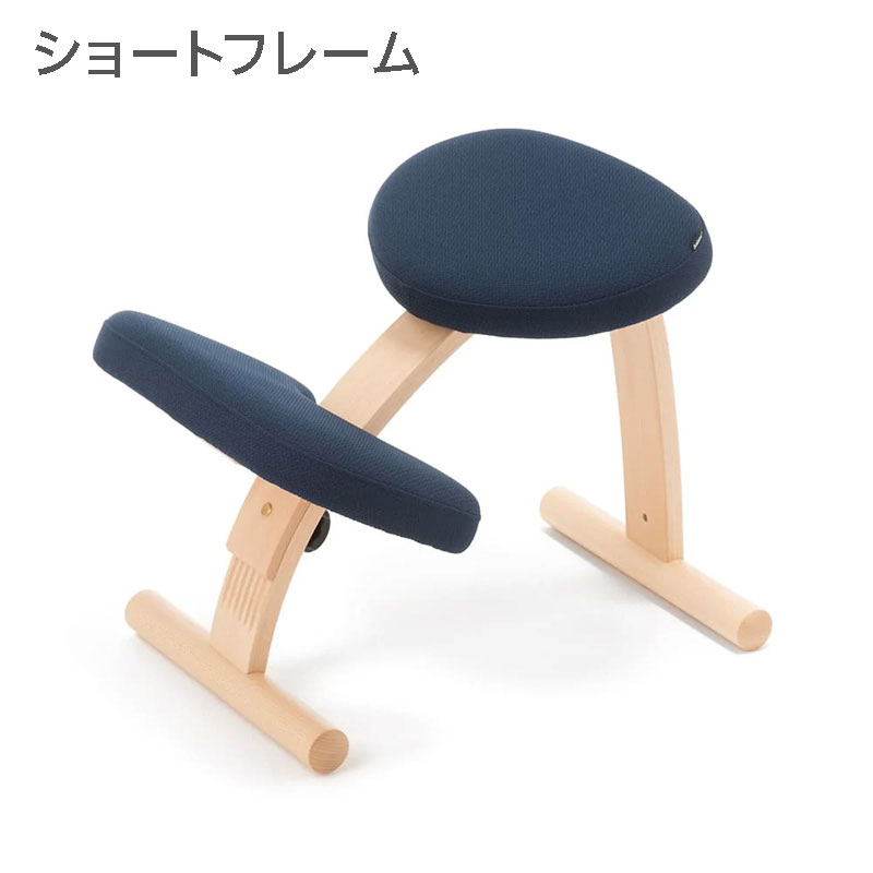 バランスラボ バランス イージー (ショートフレーム) ラクに姿勢が