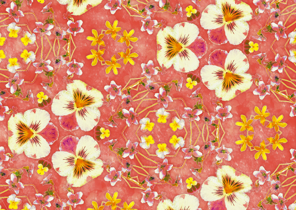 ビオラ（ブルー・ピンク） | HIRAMEKI.［ヒラメキ］WEB本店