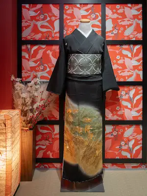 希少本]Die schönsten Kimonos 希少本]Die schönsten Kimonos 希少本