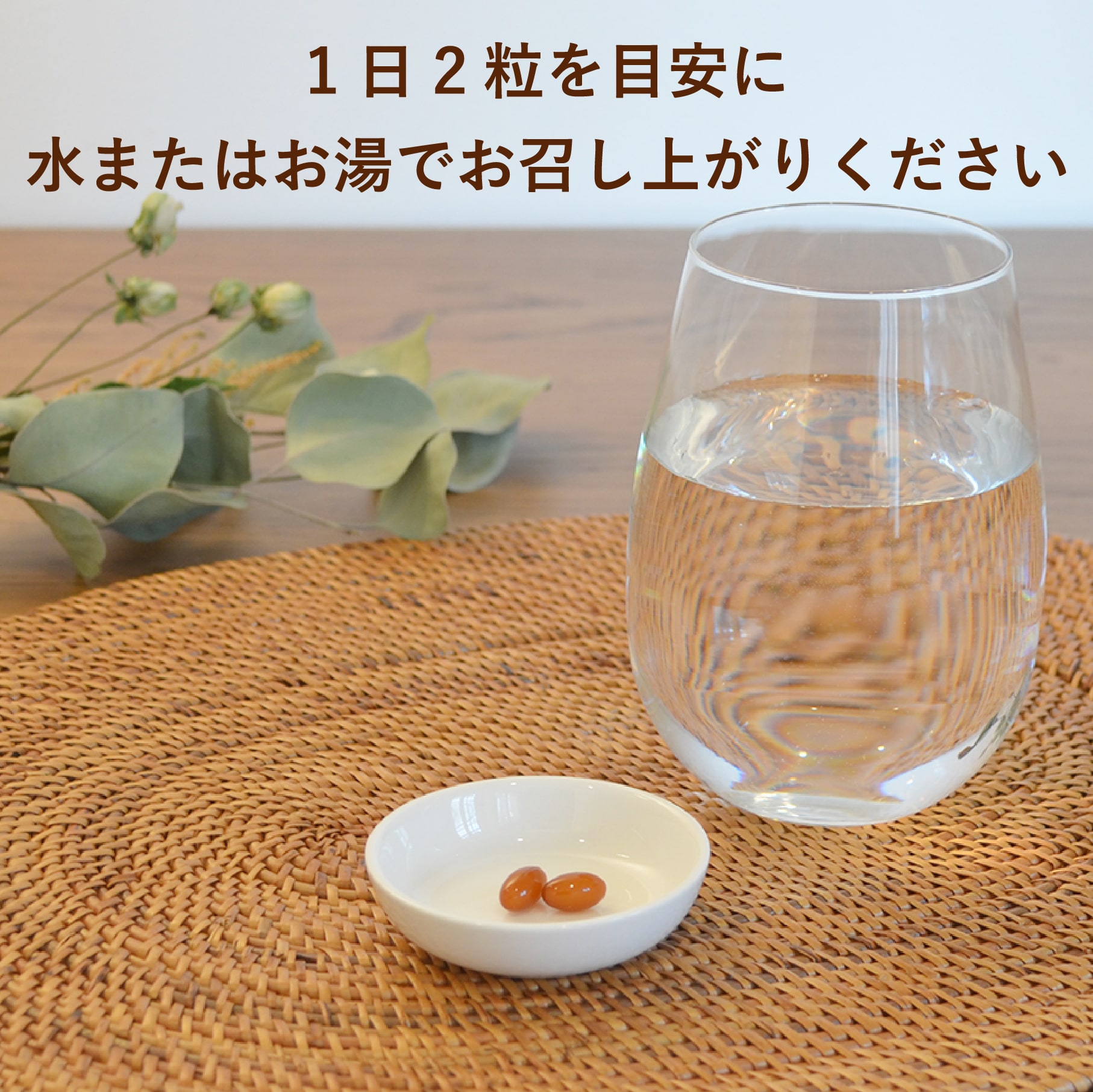 納豆キナーゼ+DHA・EPA さらさら習慣サポートサプリメント 60g (約120