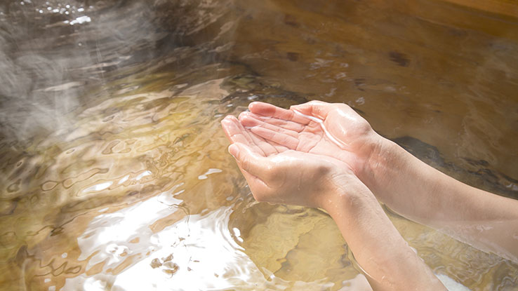 松の葉を入浴剤として使う方法｜松葉の活用方法-Food for Well-being