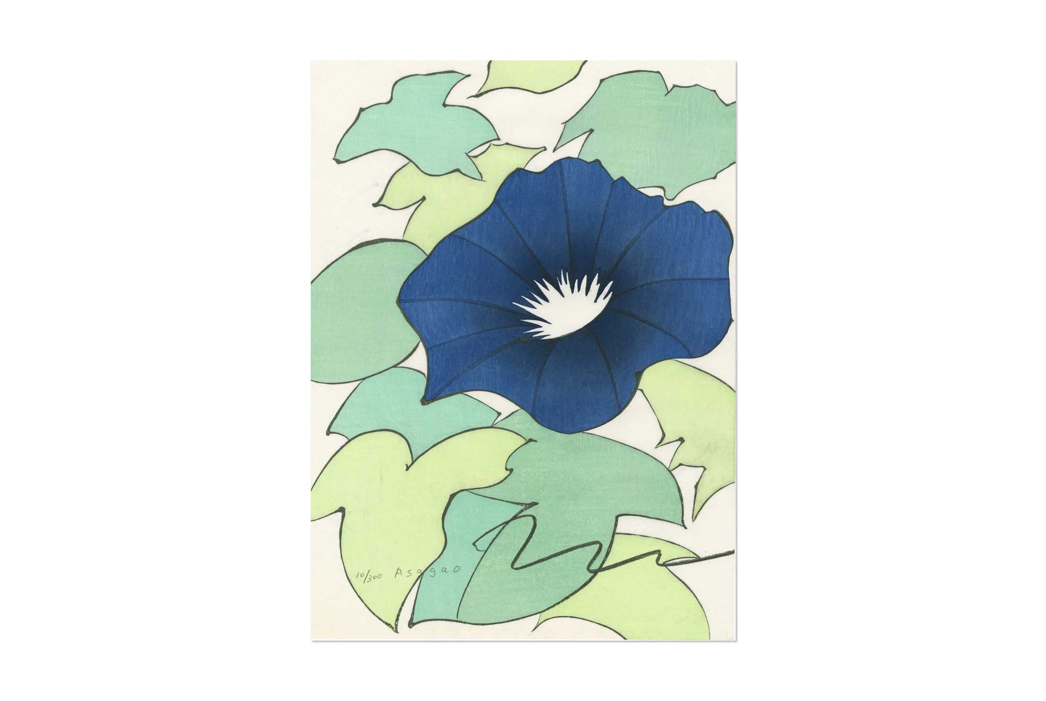 Asagao – Kenji Takenaka WoodBlock-Print Arts