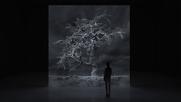 Pillars of Dawn (I) | KELLY RICHARDSON