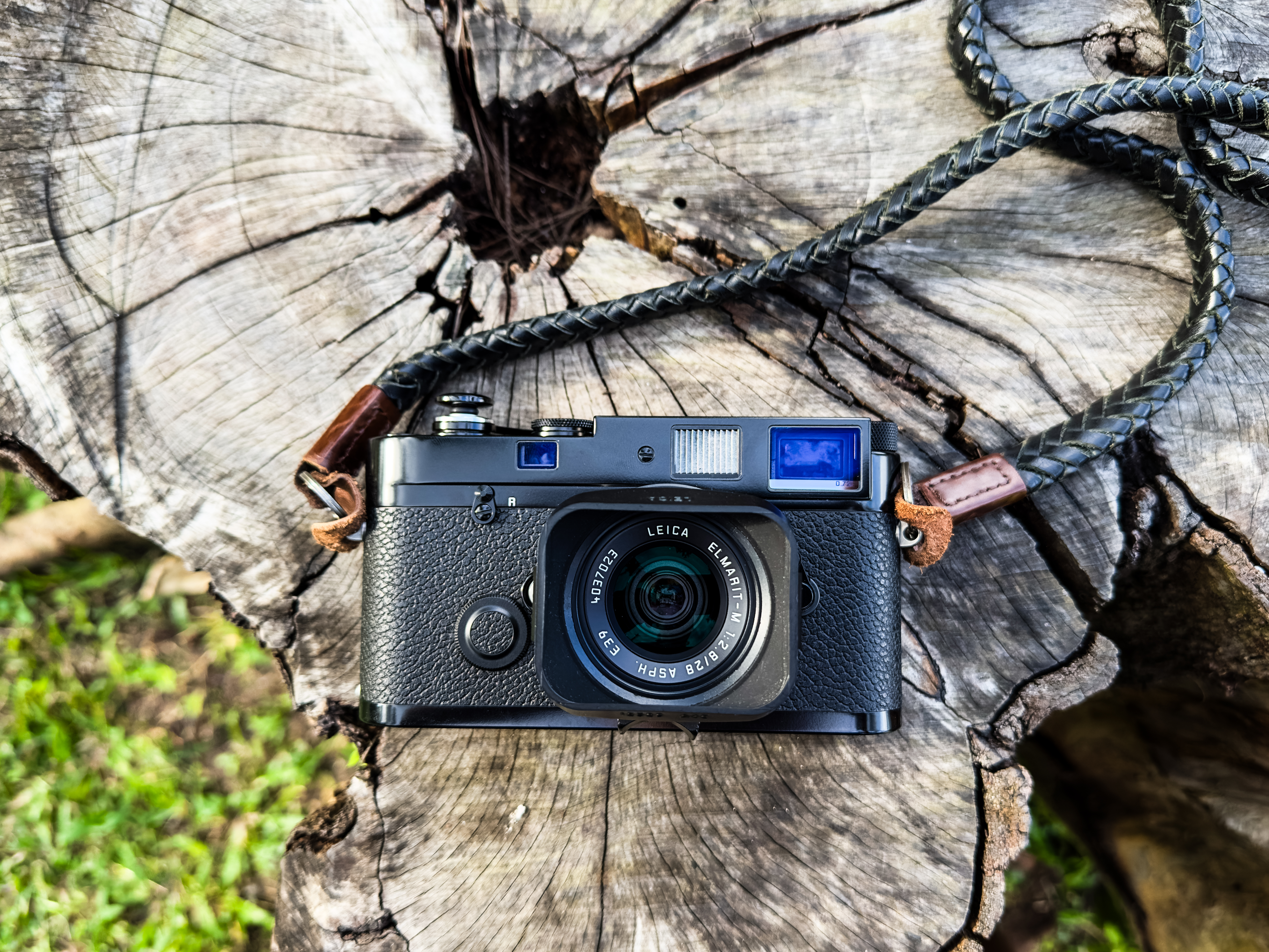 A Photowalk with the Leica MP, Elmarit 28mm ASPH, and Luminar ISO