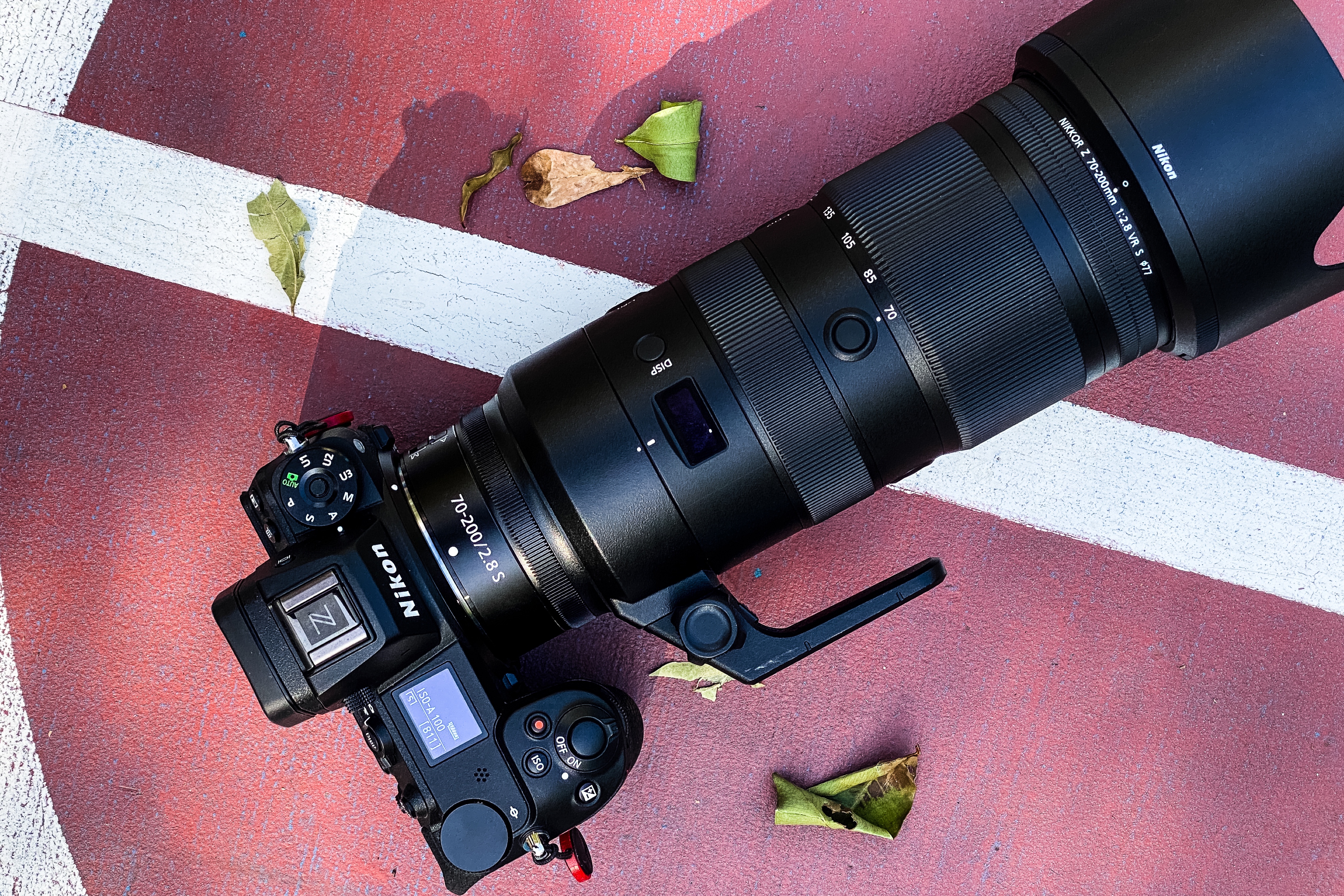 51034733106_c9c841ae4b_o.jpg?w