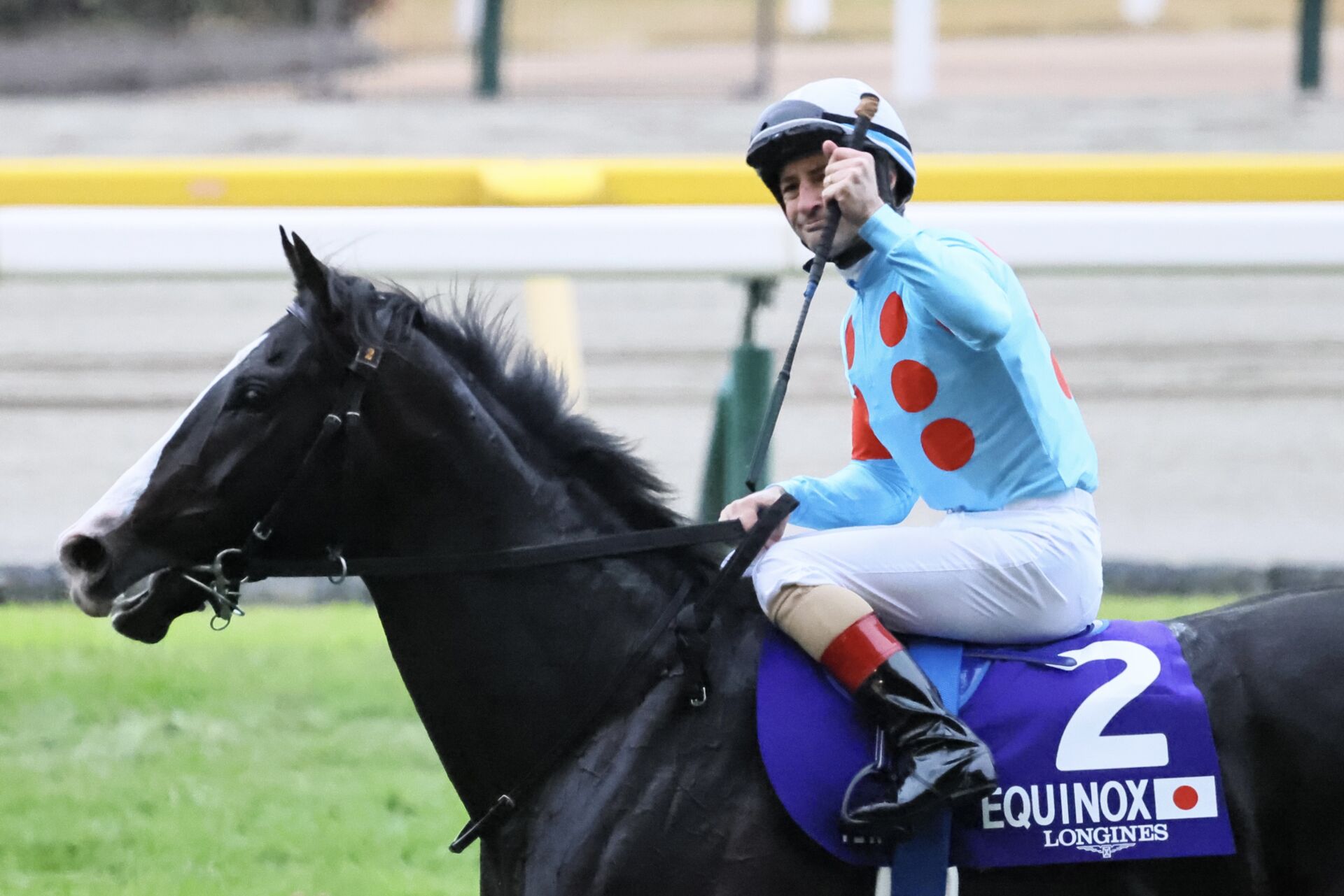 ジャパンカップ】世界最強イクイノックスがG1・6連勝！史上初総獲得