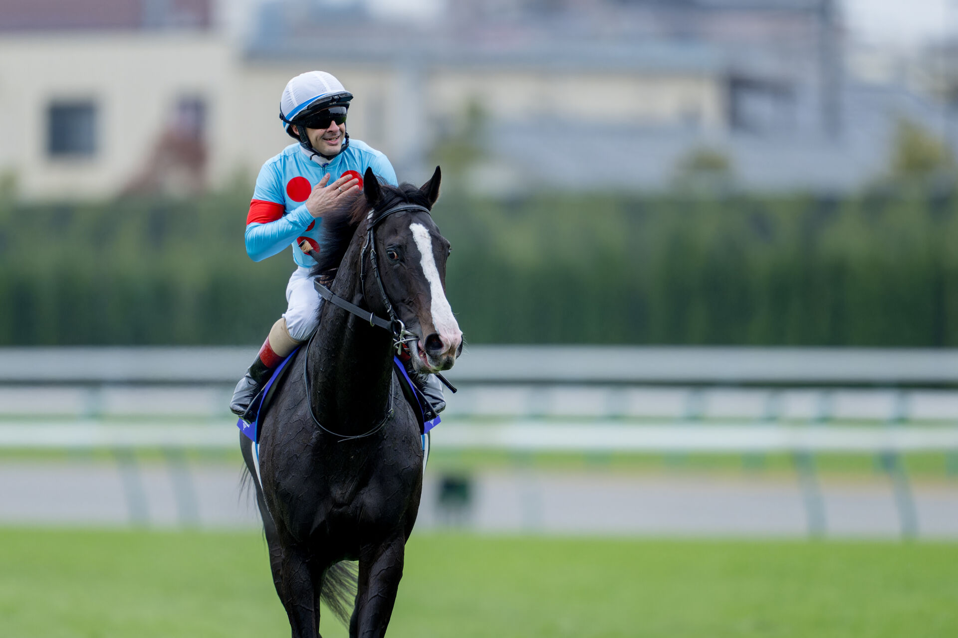 ジャパンカップ】ルメール「感動しました」イクイノックスがG1・6連勝