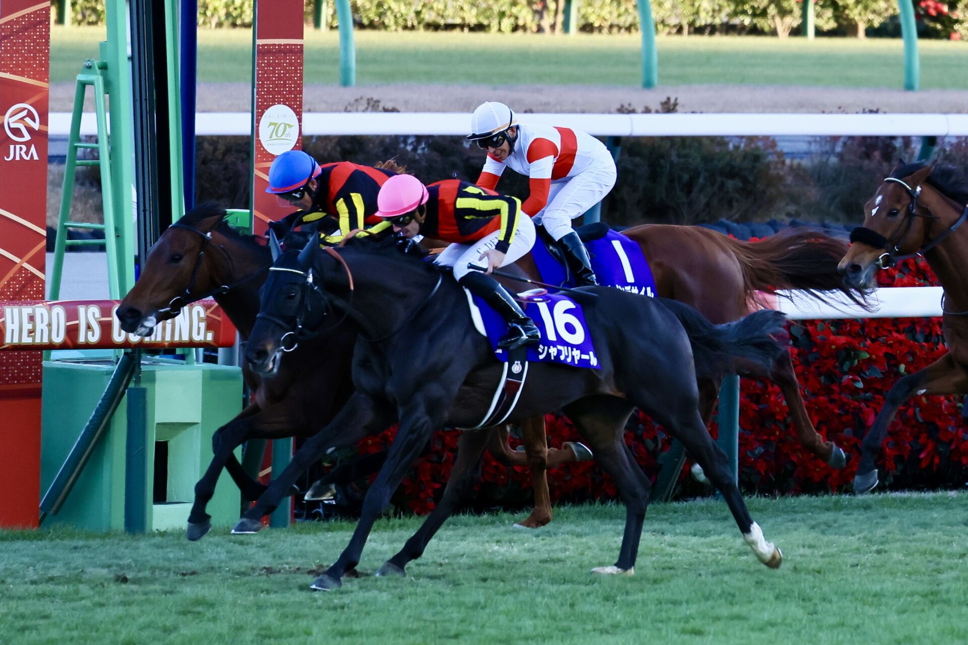 エリザベス女王杯登録馬】グランプリホース・レガレイラなど19頭