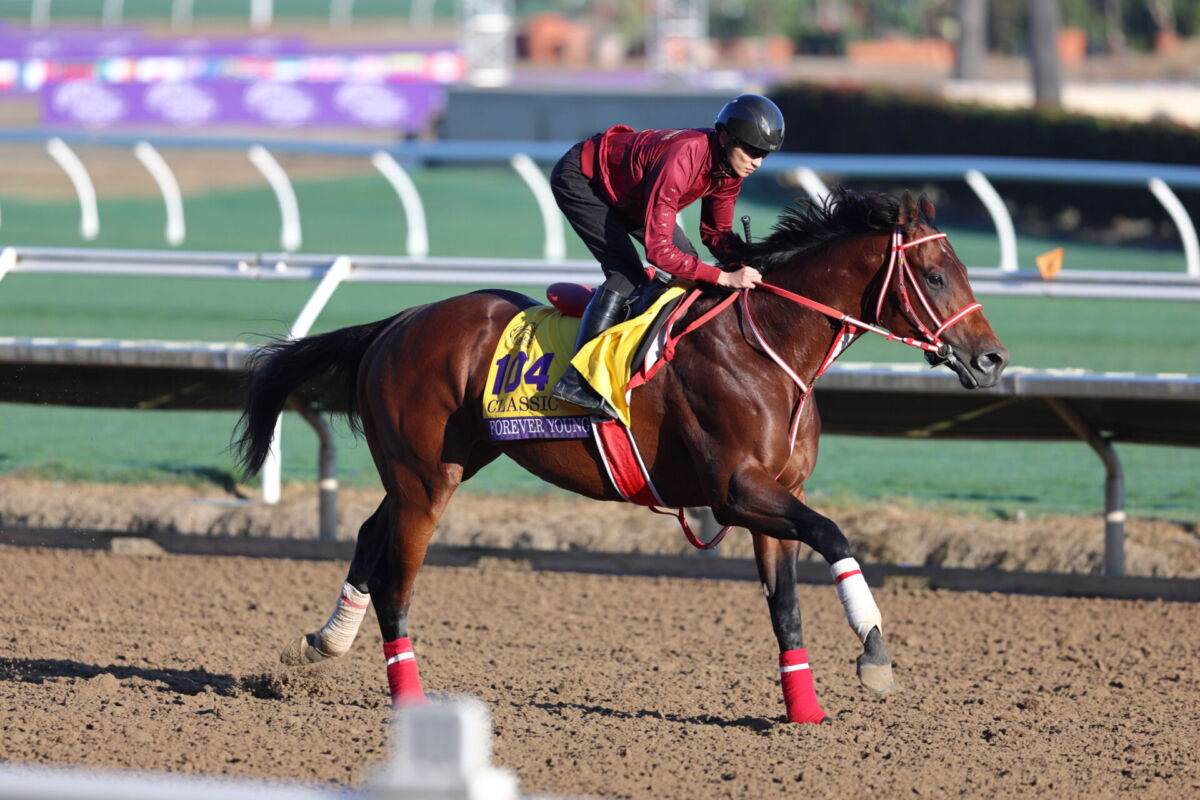 BCクラシック枠順】いざ世界制覇へ！フォーエバーヤングは5番ゲート