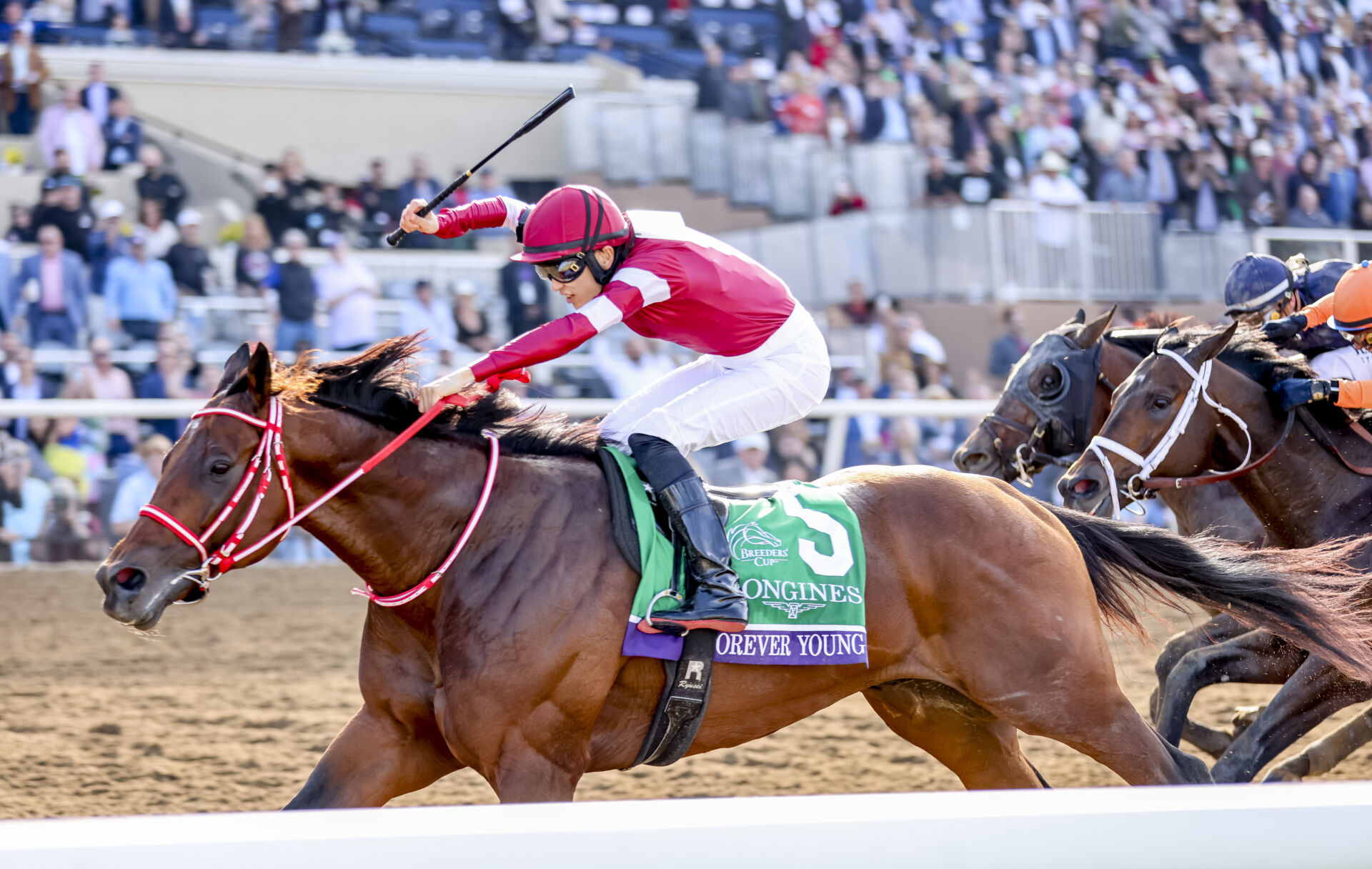 BCクラシック】フォーエバーヤングが快挙！日本馬初勝利…4角先頭で