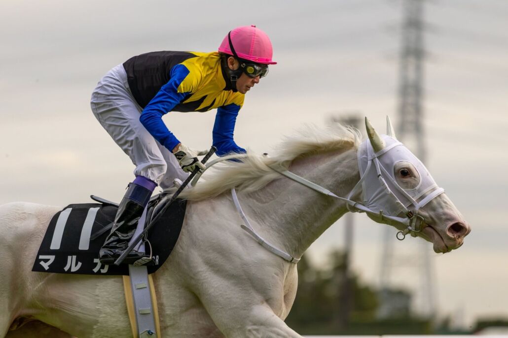 まもなく開幕！ドバイワールドカップデー 日本馬24頭が世界に挑む