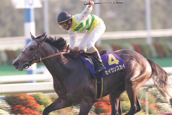 き*】様 1999年 皐月賞 現地馬券18頭 き*】様 1999年 皐月賞 現地馬券