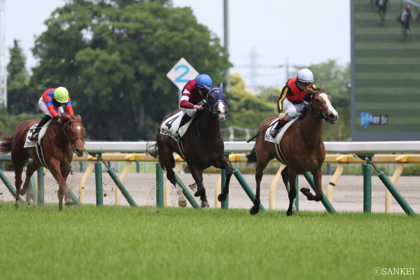 伝説の新馬戦 5選】これは運命のいたずらか。後の重賞馬が揃った超ハイ