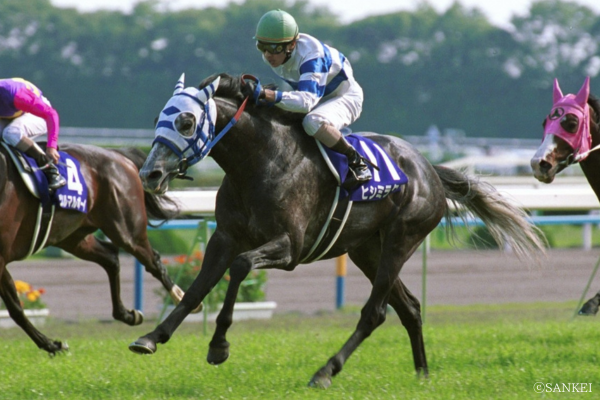 芦毛馬獲得賞金トップテン】「芦毛馬は走らない」。常識を覆した名馬