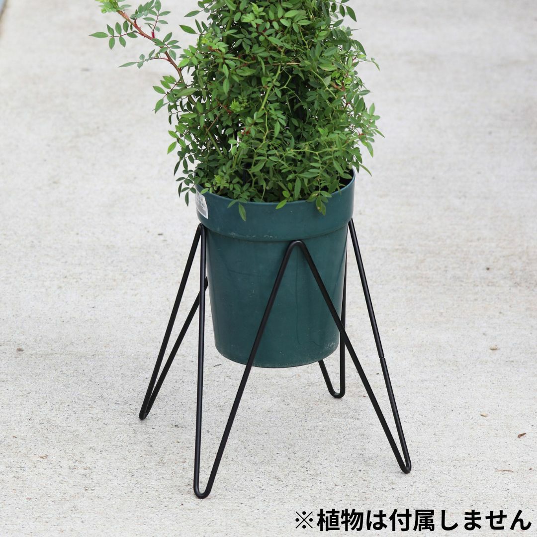 000000005908-02-m.jpg?t=