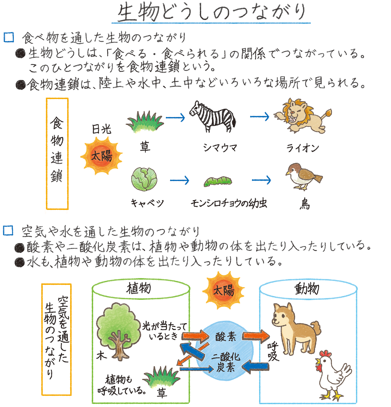 空気や水を通した生物のつながり | 情報配信サービス 小学校エデュフル