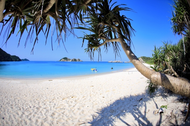 世界を魅了するケラマブルーとは？慶良間諸島の魅力＆おすすめの