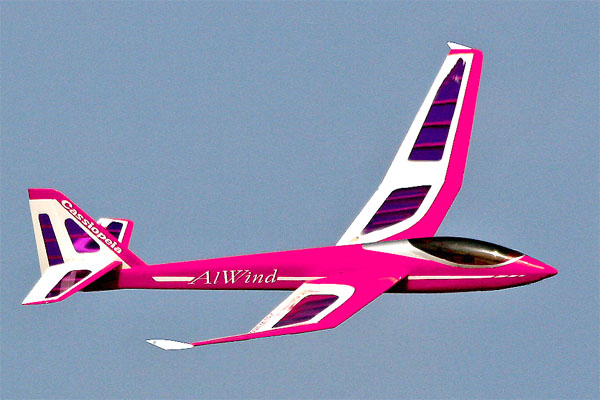 KK HOBBY 】 【フィルムセット（ピンク）付】カシオペア ALWind99