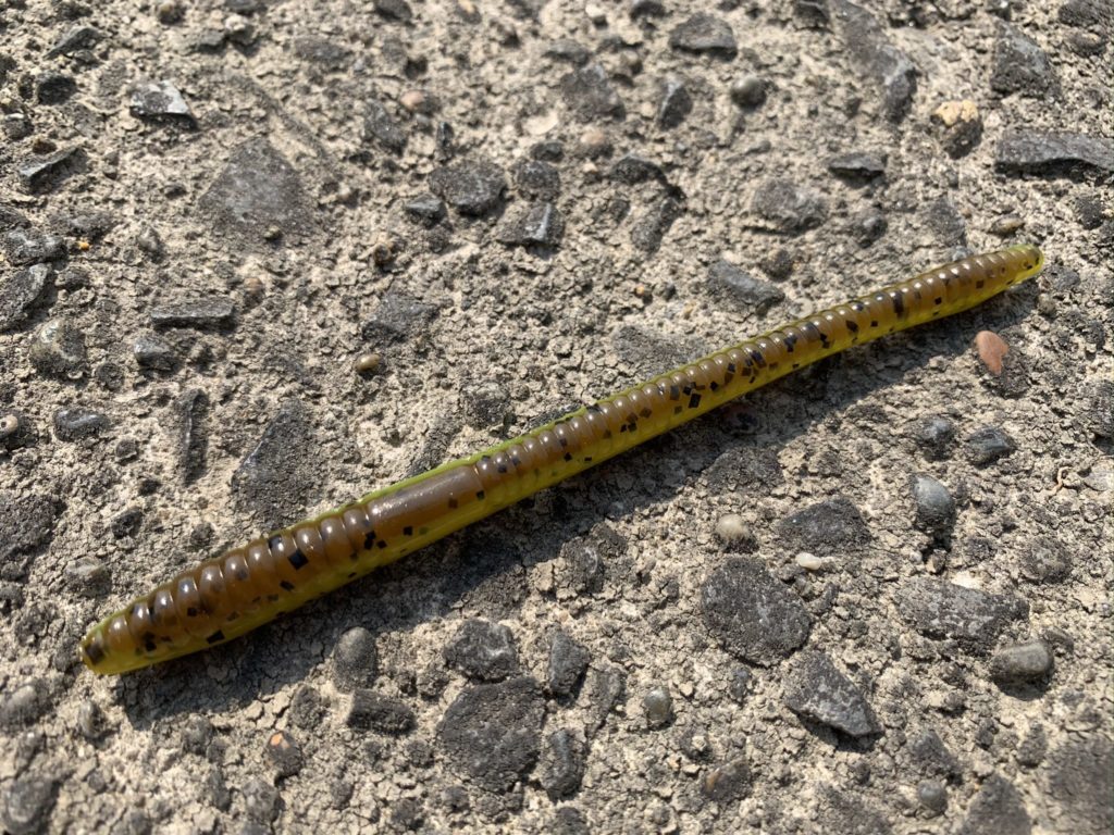 ZOOM】フィネスワーム【インプレ】 | なんでもかんでも