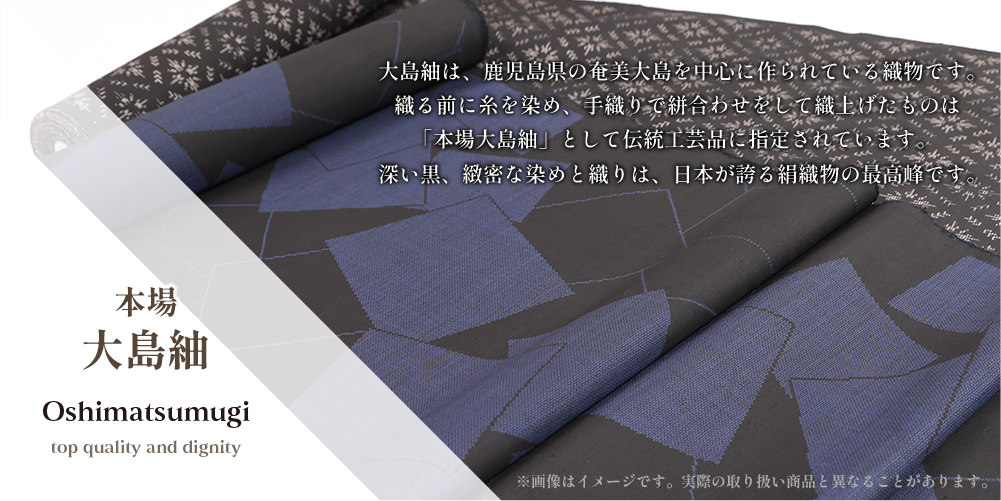 伝統的工芸品 本場大島紬 手織 泥染 正絹 花更紗