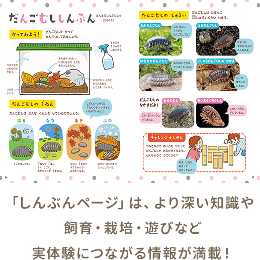 しぜん-キンダーブック - フレーベル館の月刊保育絵本