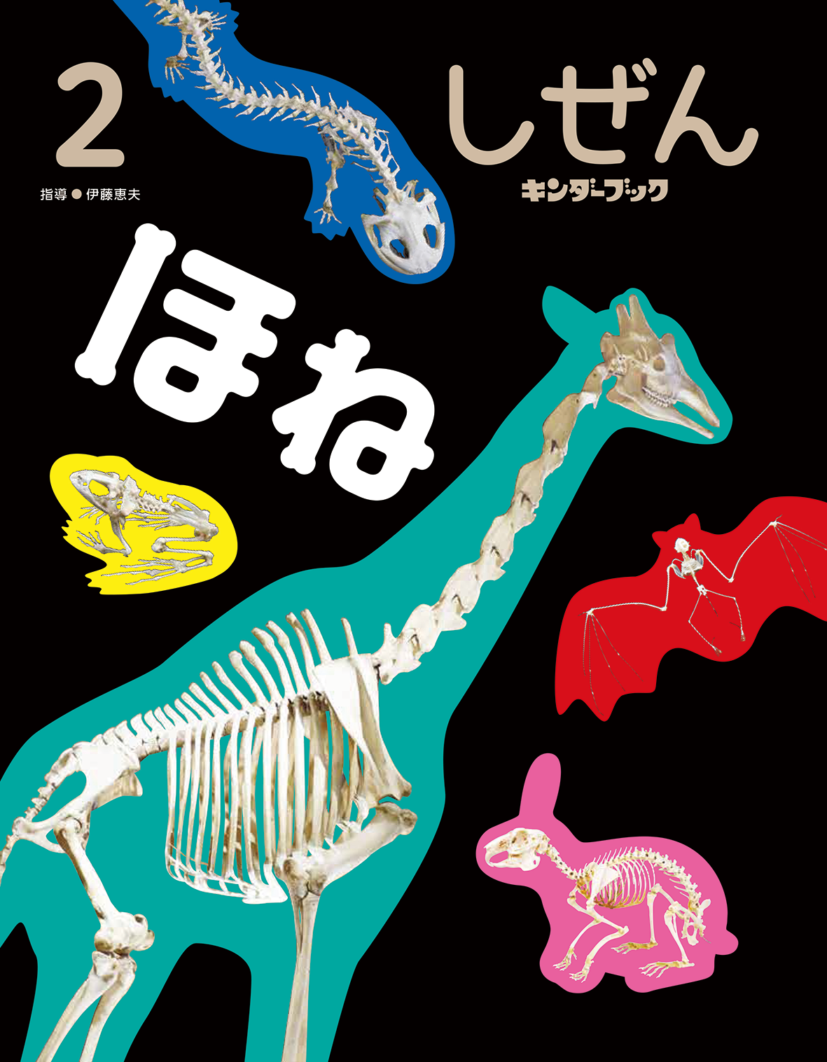 しぜん-キンダーブック - フレーベル館の月刊保育絵本