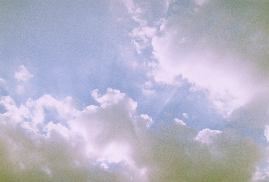 Pentax ZX-M film SLR – King