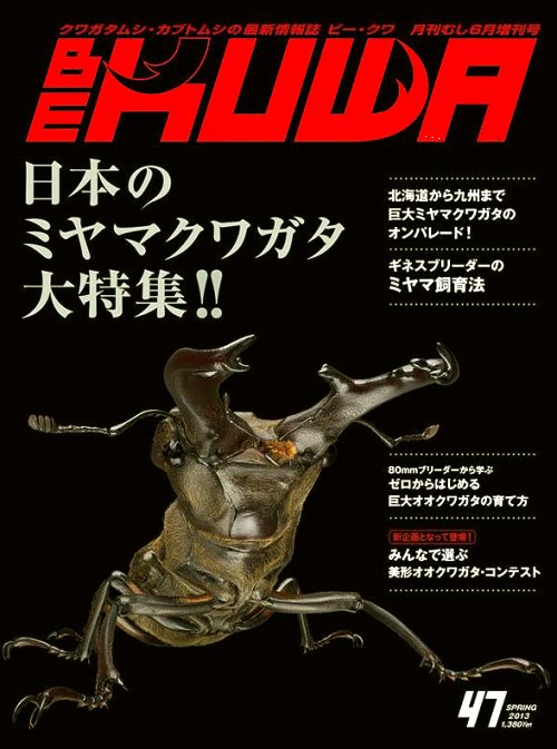 ビークワ47号（BE・KUWA） 日本のミヤマクワガタ大特集