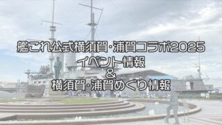 41855b201a56020b7eea316fc267cd