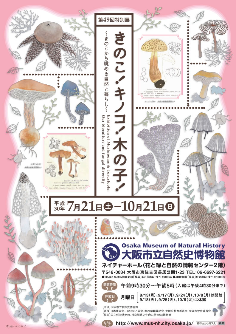きのこ！キノコ！木の子！ ～きのこから眺める自然と暮らし～」（その
