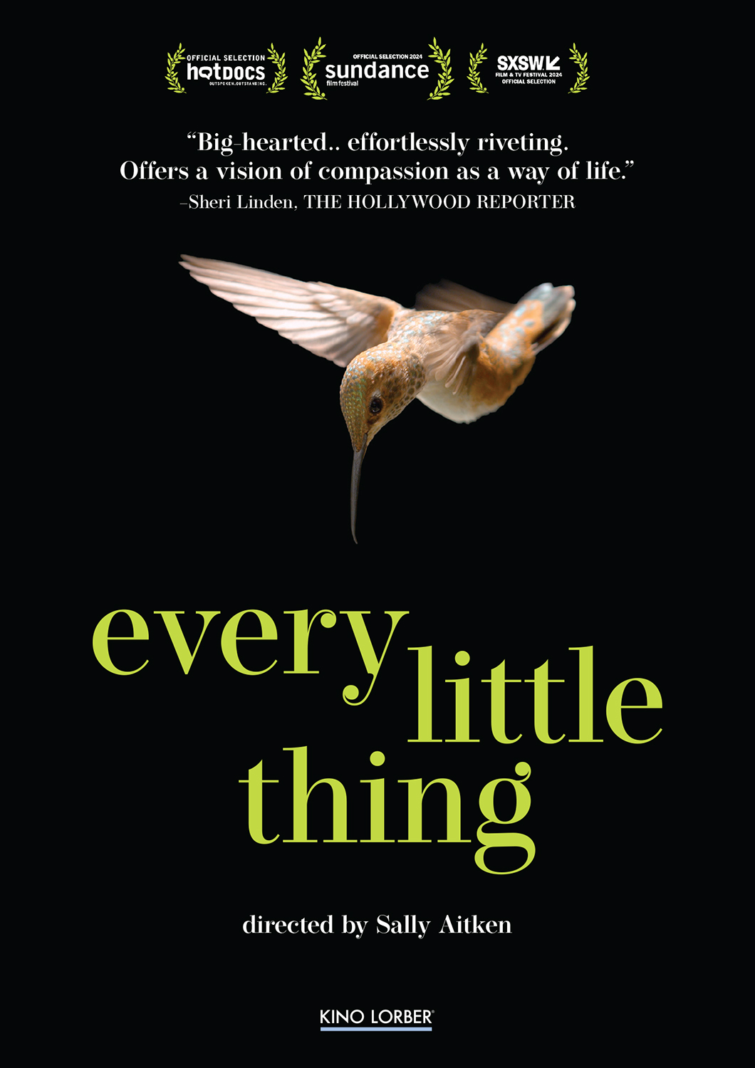 Every Little Thing (DVD) - Kino Lorber Home Video
