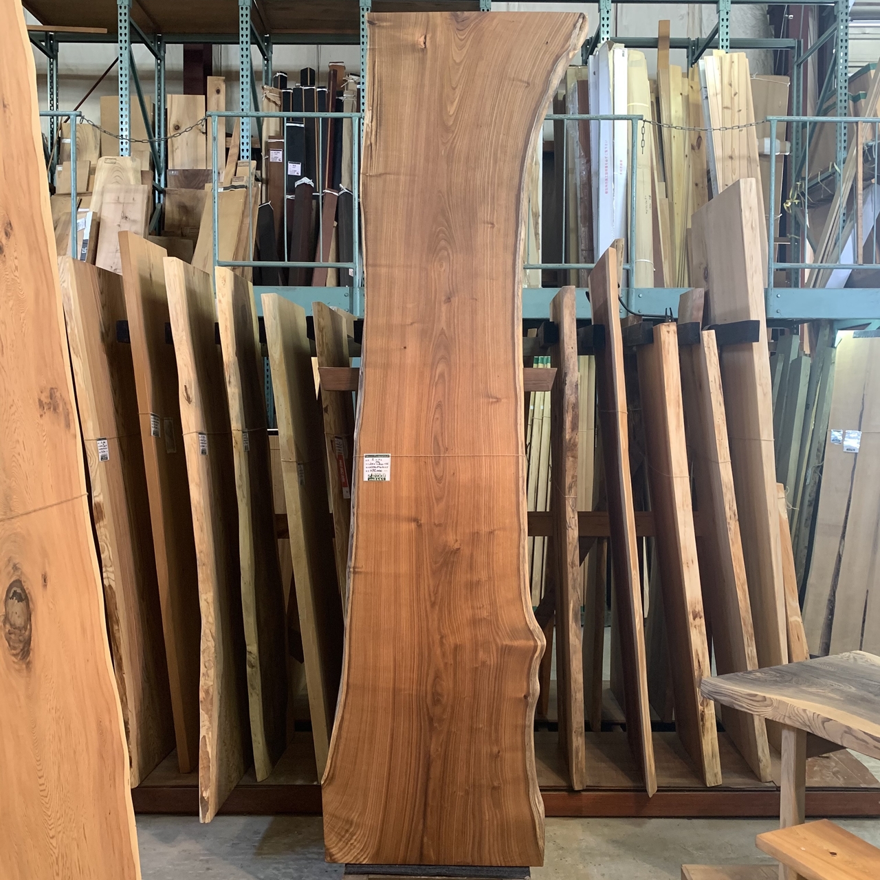 槐(エンジュ)一枚板 3000×560~800×46㎜ | 一枚板xオイル仕上げの専門店