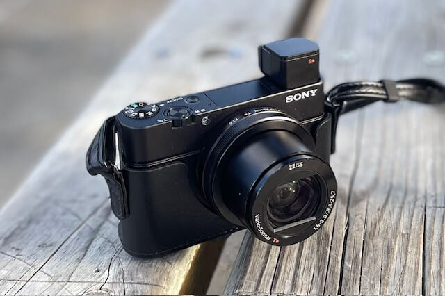 夏は小さな写真機がいいでしょ、しかもファインダー付きの。SONY RX100