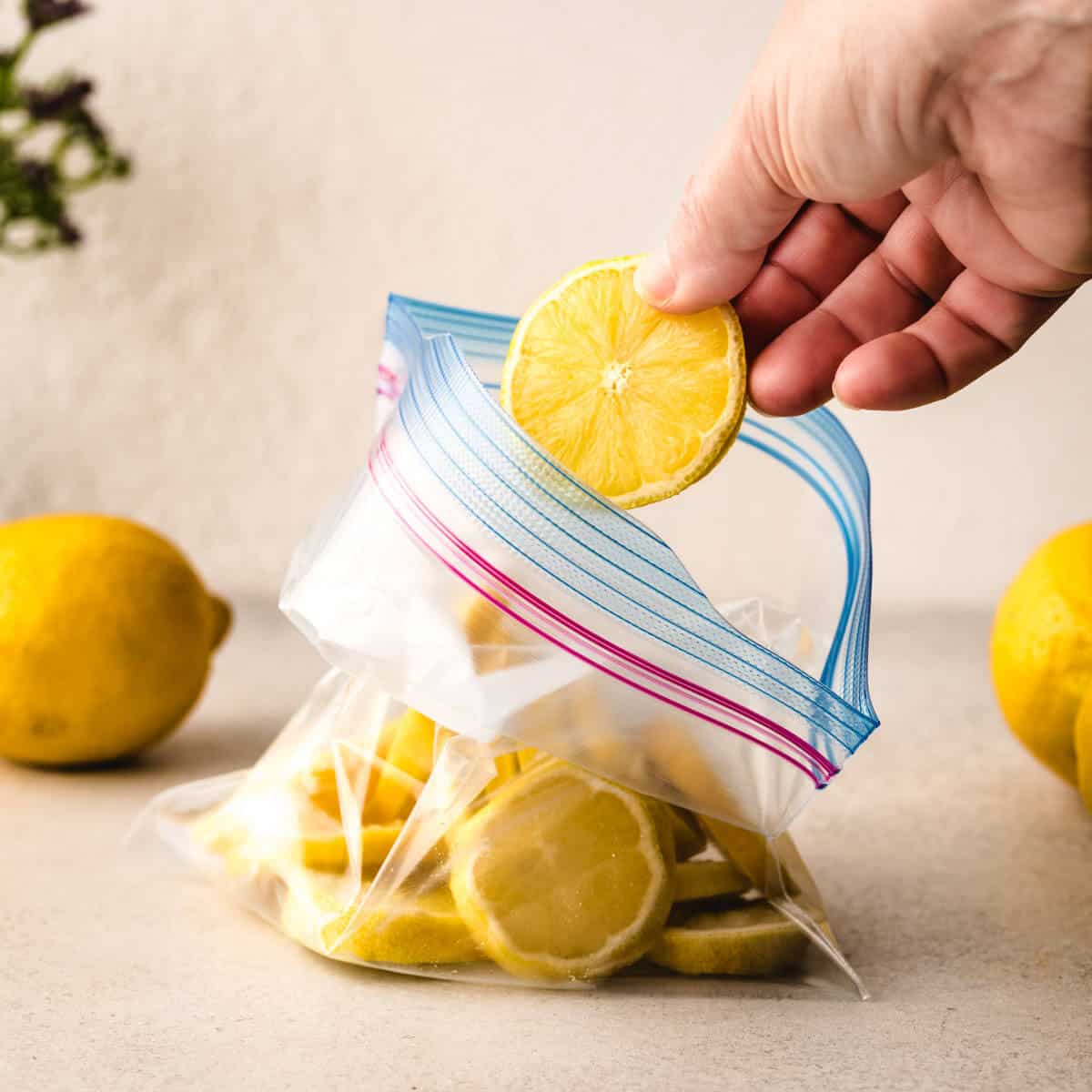 How Long Do Lemons Last in the Fridge? - Kickass Baker