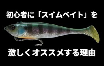 バス釣り初心者にスイムベイトを激しくオススメする理由 | キッズハートTV