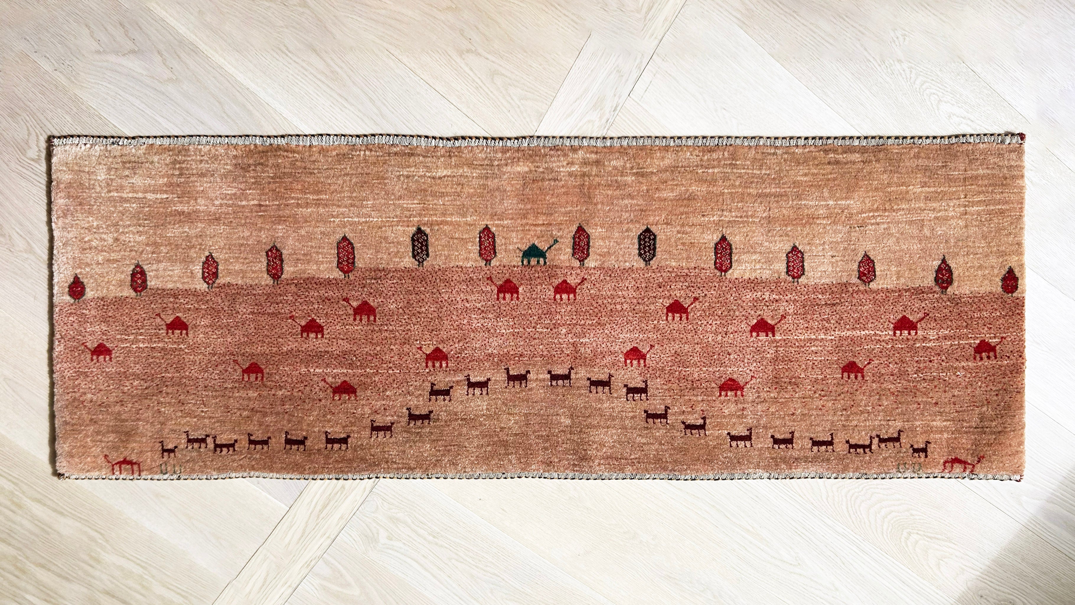 遊牧民の絨毯 】Zollanvari ゾランヴァリ ギャッベ 177×58㎝ (No.05108