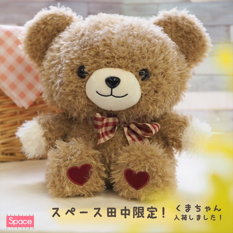 スペース田中限定！！くまちゃん入荷 | フジグラン北島