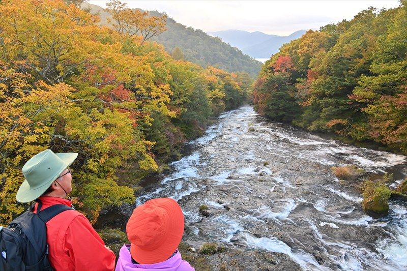 超絶景 栃木県日光市 ☆龍頭の滝の紅葉☆作品パネル1点物 超絶景 栃木
