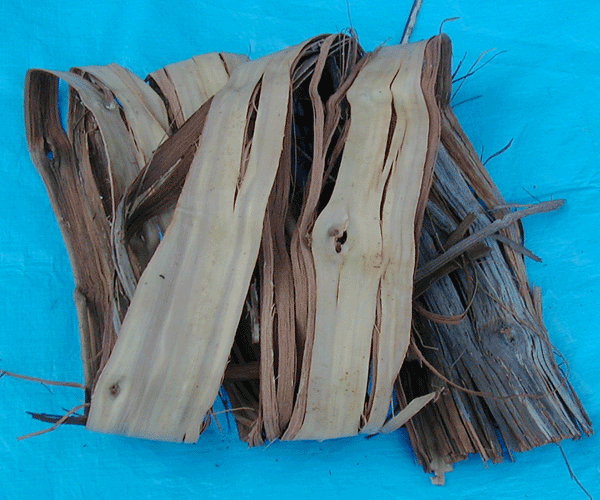 山葡萄（ヤマブドウ） 蔓・真皮 A品 1Kg - 北の山菜Web3号店