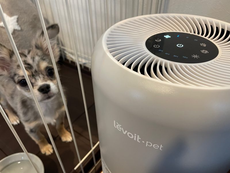 ペット専用の空気清浄機「Levoit pet」1台で何役も！