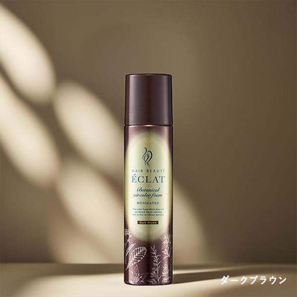 ヘアボーテ エクラ ボタニカルエアカラーフォームEX 2本セット 簡単