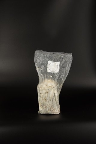 全商品 - 北斗恵栽園オンラインストア