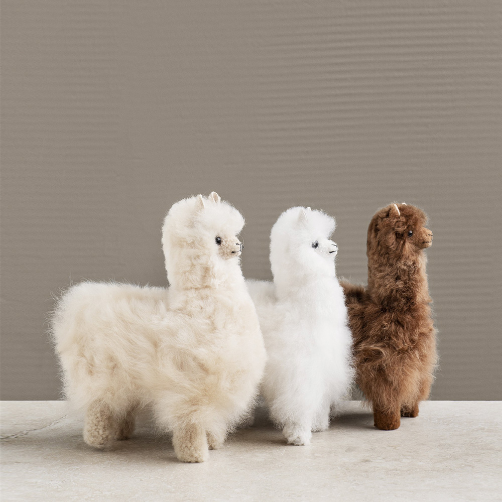 elvang｜アルパカ テディ 20*20 | KONCENT Web shop｜アッシュ