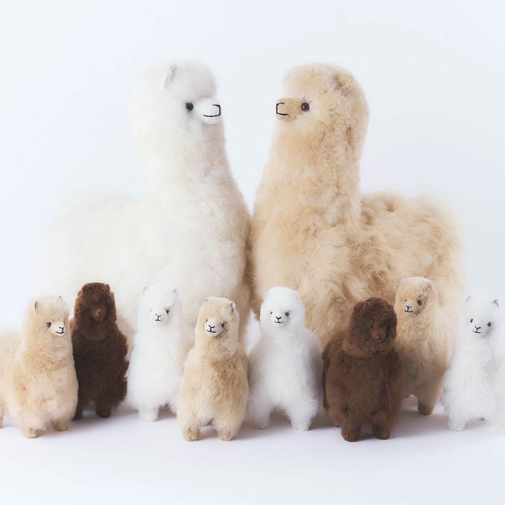 elvang｜アルパカ テディ 20*20 | KONCENT Web shop｜アッシュ