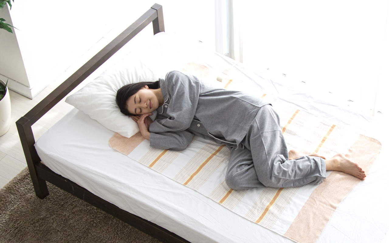 VWS401H-DB | 電気毛布 しきタイプ | KODEN | 製品情報 | 株式会社 広