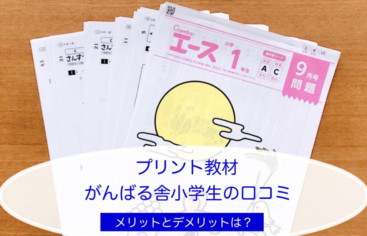 がんばる舎】Gambaエース小学生を受講した感想は？口コミ評判 - こども