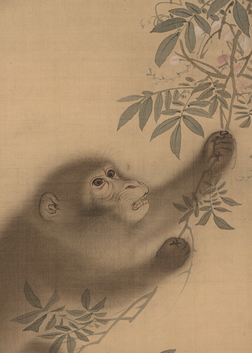 江戸時代中後期【森祖仙(狙仙)】 絹本淡彩 桜に猿 古美術 a8 森狙仙 瀑