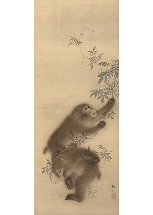 江戸時代中後期【森祖仙(狙仙)】 絹本淡彩 桜に猿 古美術 a8 森狙仙 瀑
