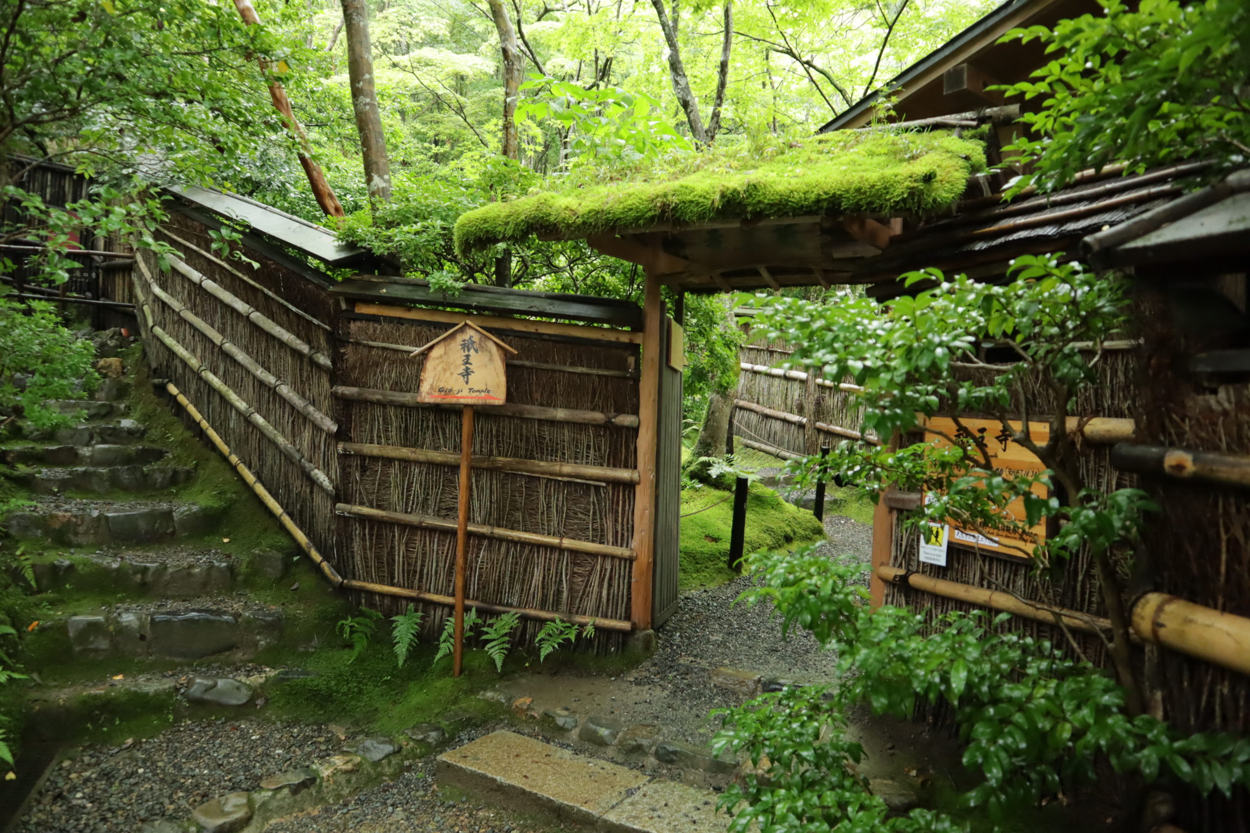 苔の小径へ（祇王寺：京都） | 苔の小径を悠々と